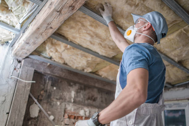 Best Insulation for Specific Applications in Henagar, AL