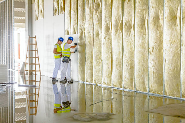 Best Commercial Insulation in Henagar, AL